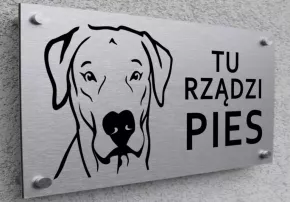 elegancka_aluminiowa_tabliczka_uwaga_pies_dog_FunArt_1004_702.webp